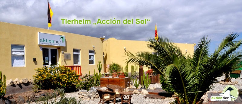 aktion tier-Tierheim Teneriffa "Acción del Sol"