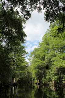 Withlacoochee River Withlacoochee River