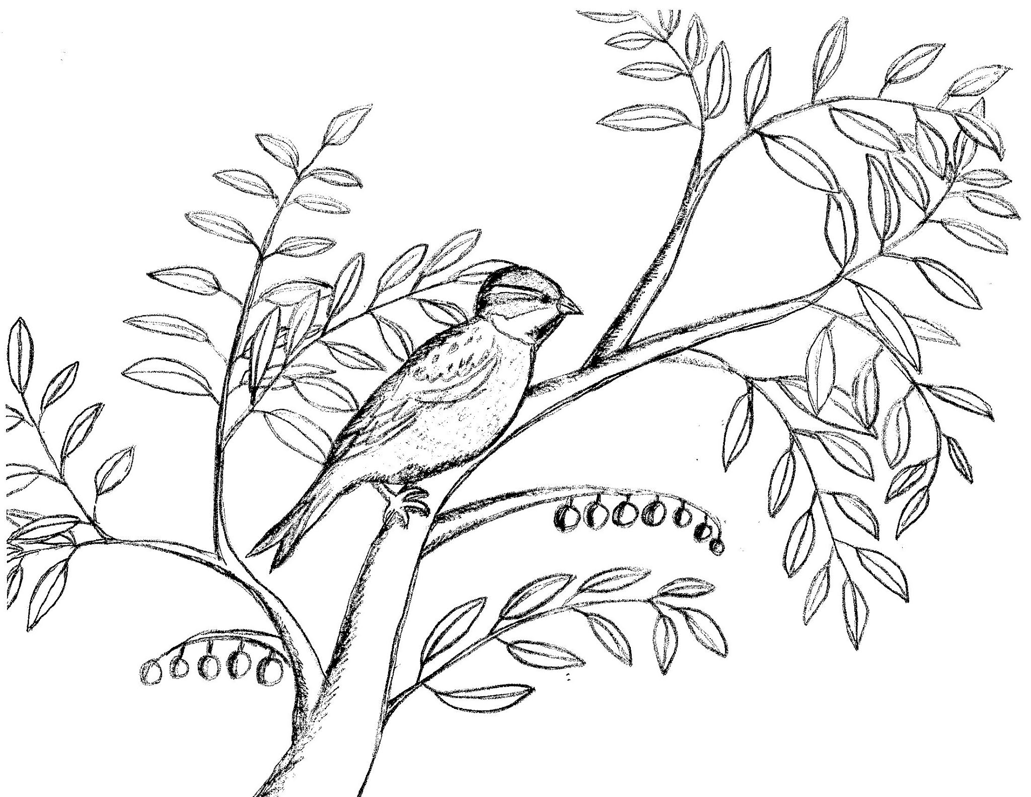 Robin's Great Coloring Pages: April 2021