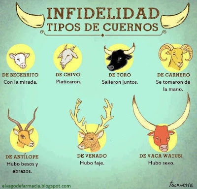 14 Divertidas Frases Acerca De Las Relaciones De Pareja Chistes