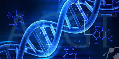 Genoma umano contiene meno geni utili del previsto