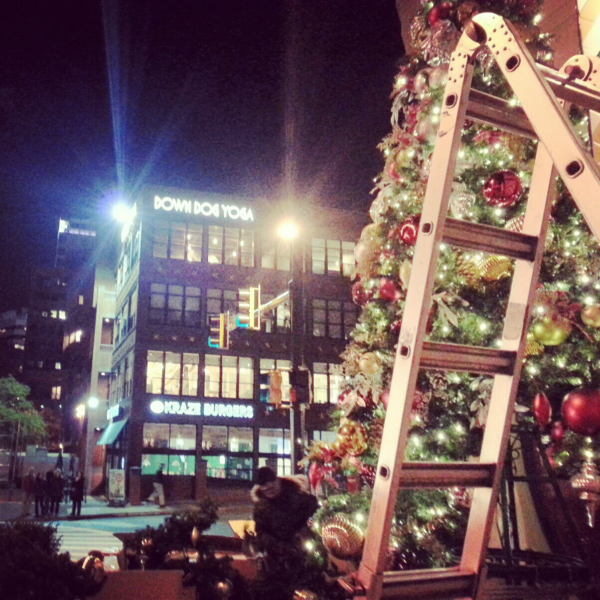 Robert Dyer Bethesda Row CHRISTMAS TREES ARRIVE AT BETHESDA ROW (PHOTOS)
