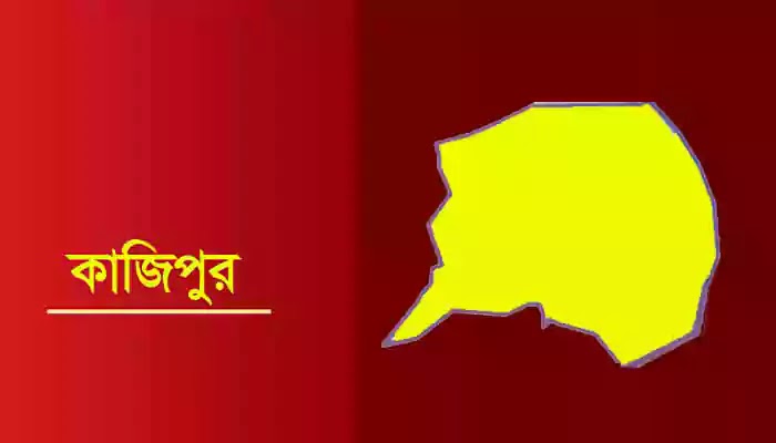 Legal connection recipients are not getting remedy even after applying in Kazipur কাজিপুরে দরখাস্ত করেও প্রতিকার পাচ্ছেন না বৈধ সংযোগ গ্রহিতা