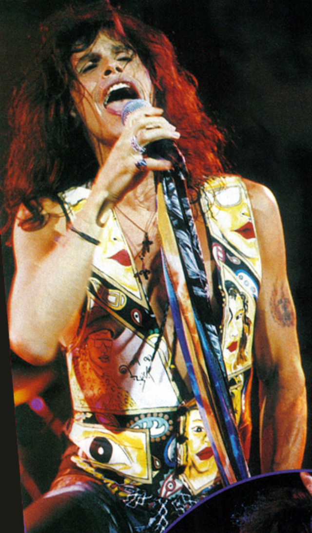 Aerosmith エアロスミス Steven Tyler ギターピック