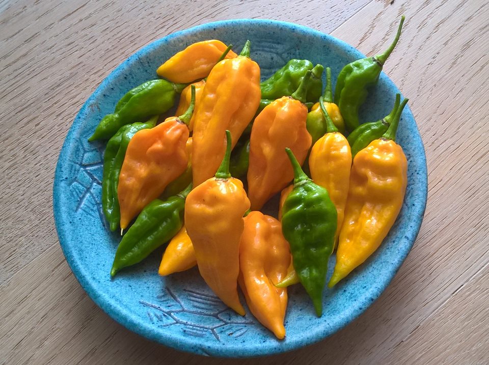 Chili Neutralisieren Chili Neutralisieren