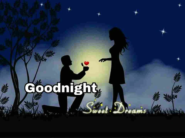 Beautiful romantic Good Night Image