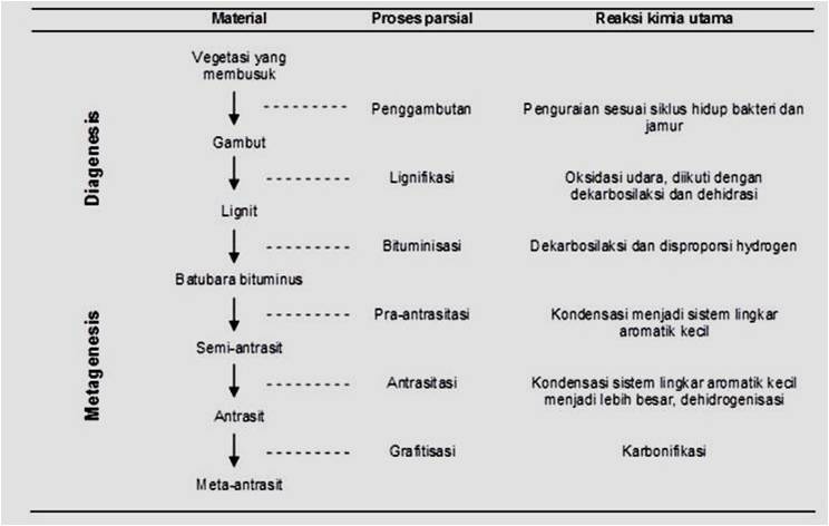SC - MGEI Universitas Negeri Gorontalo: Proses Pembentukan Batubara