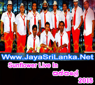 Sunflower Live In Kanthale 2015 Live Show