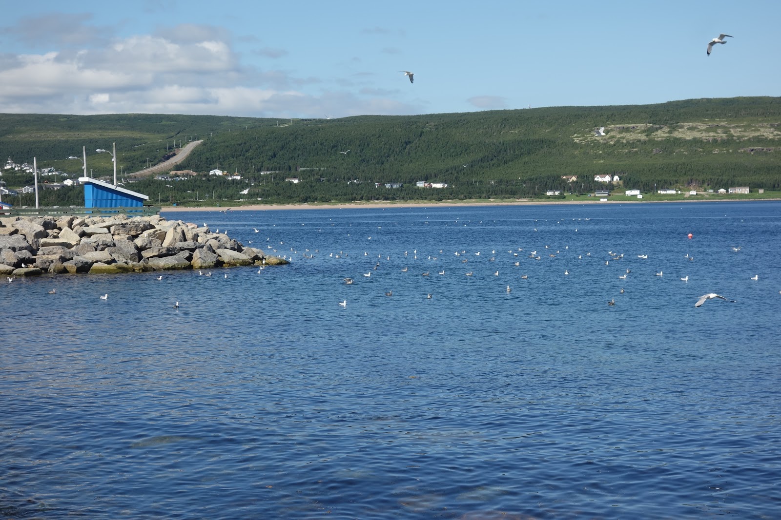 Cheryl's Travels On the road, from Point Amour Lighthouse to Red Bay