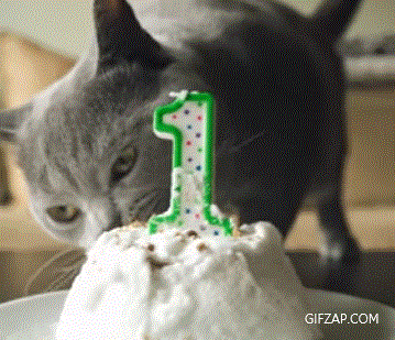 Cat Birthday Gif Happy Birthday Cat Gif