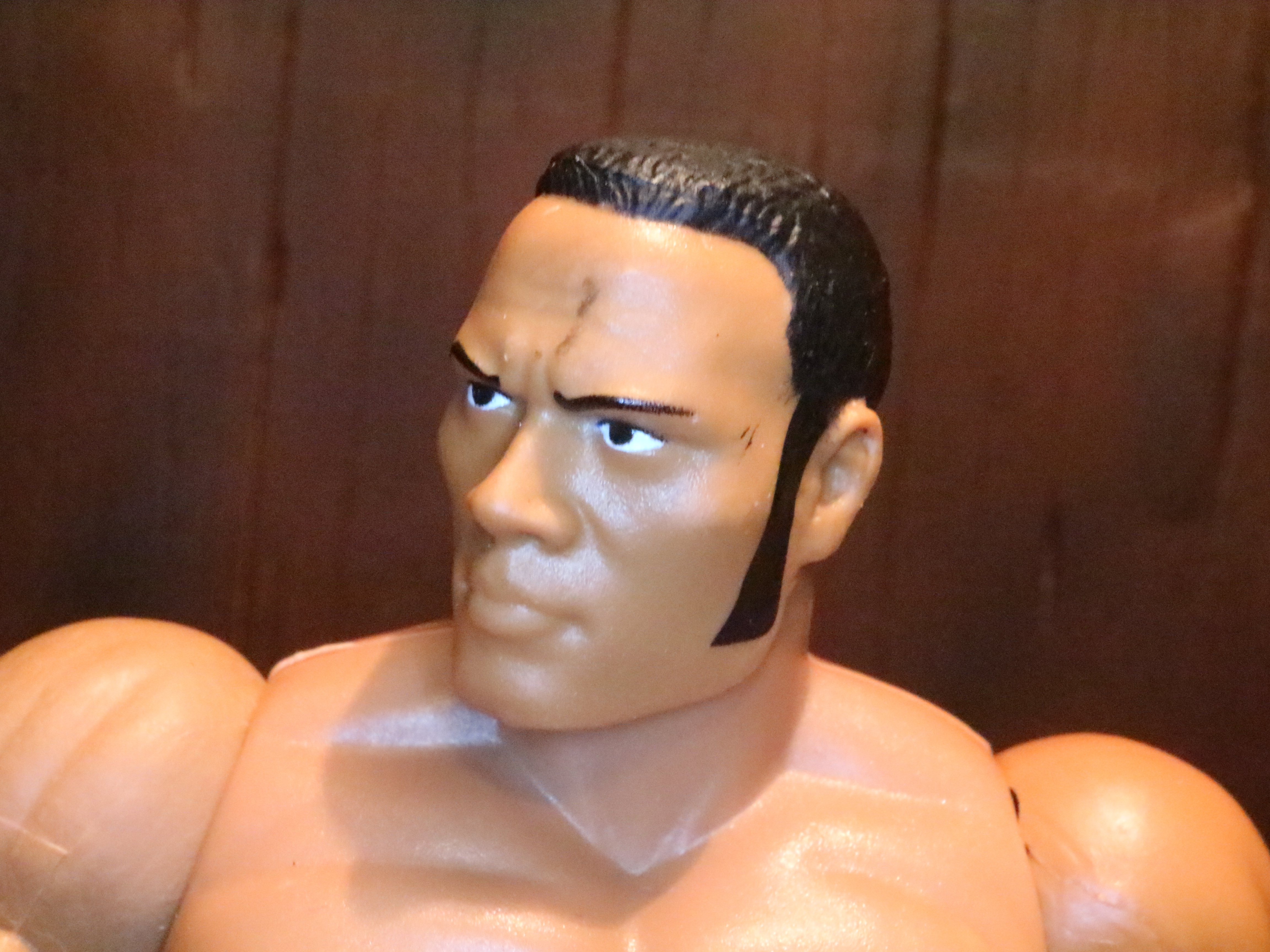 Action Figure Barbecue Action Figure Review The Rock from Masters of