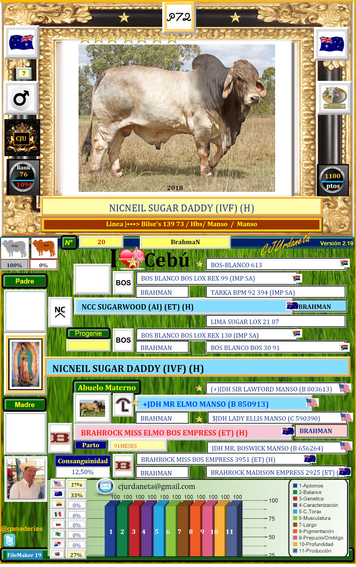 CEBÚ ♥ ♥ ♥ ZEBÚ♔♕♖♗♘ LA PASIÓN POR EL CEBÚ ZEBU NICNEIL SUGAR DADDY