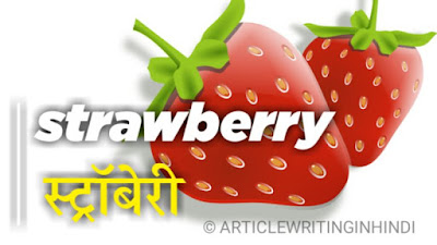 strawberry स्ट्रॉबेरी