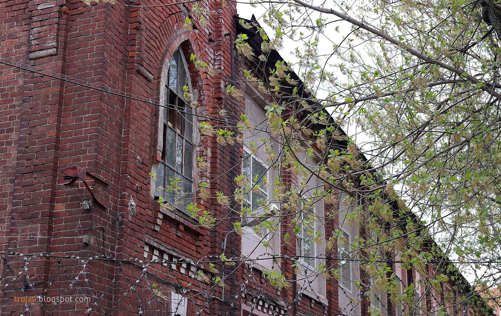 московская шелкоткацкая. шелкоткацкая фабрика щелково ранее. щелковская шелкоткацкая фабрика. щелковская шелкоткацкая фабрика бронежилеты. шелкоткацкая фабрика щелково.