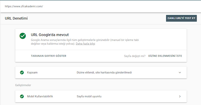 ANA SAYFAM İNDEXLENMİYOR SORUNU