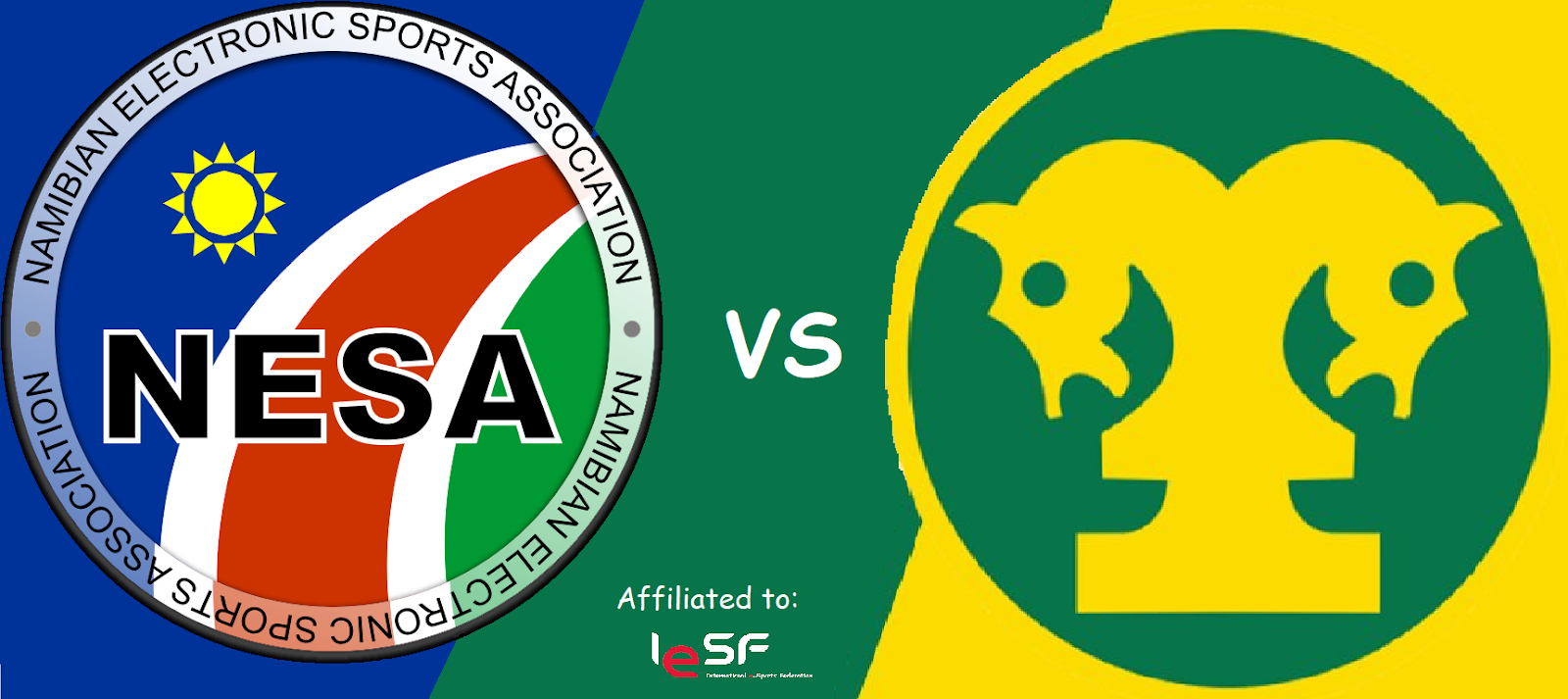 Esports South Africa, and other games : Test match between Namibia and