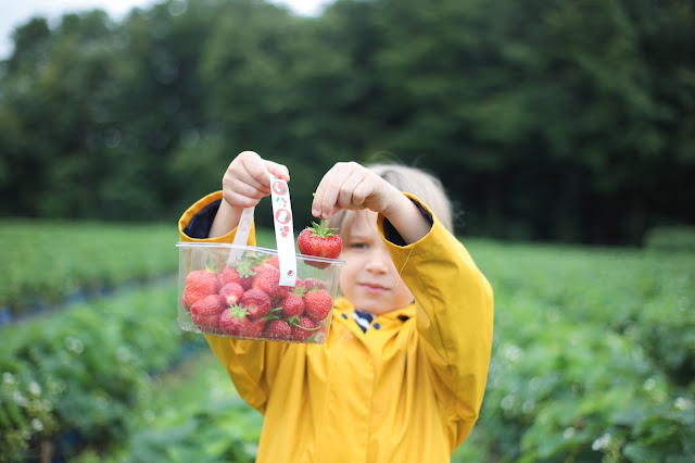 Hendrewennol Fruit farm 