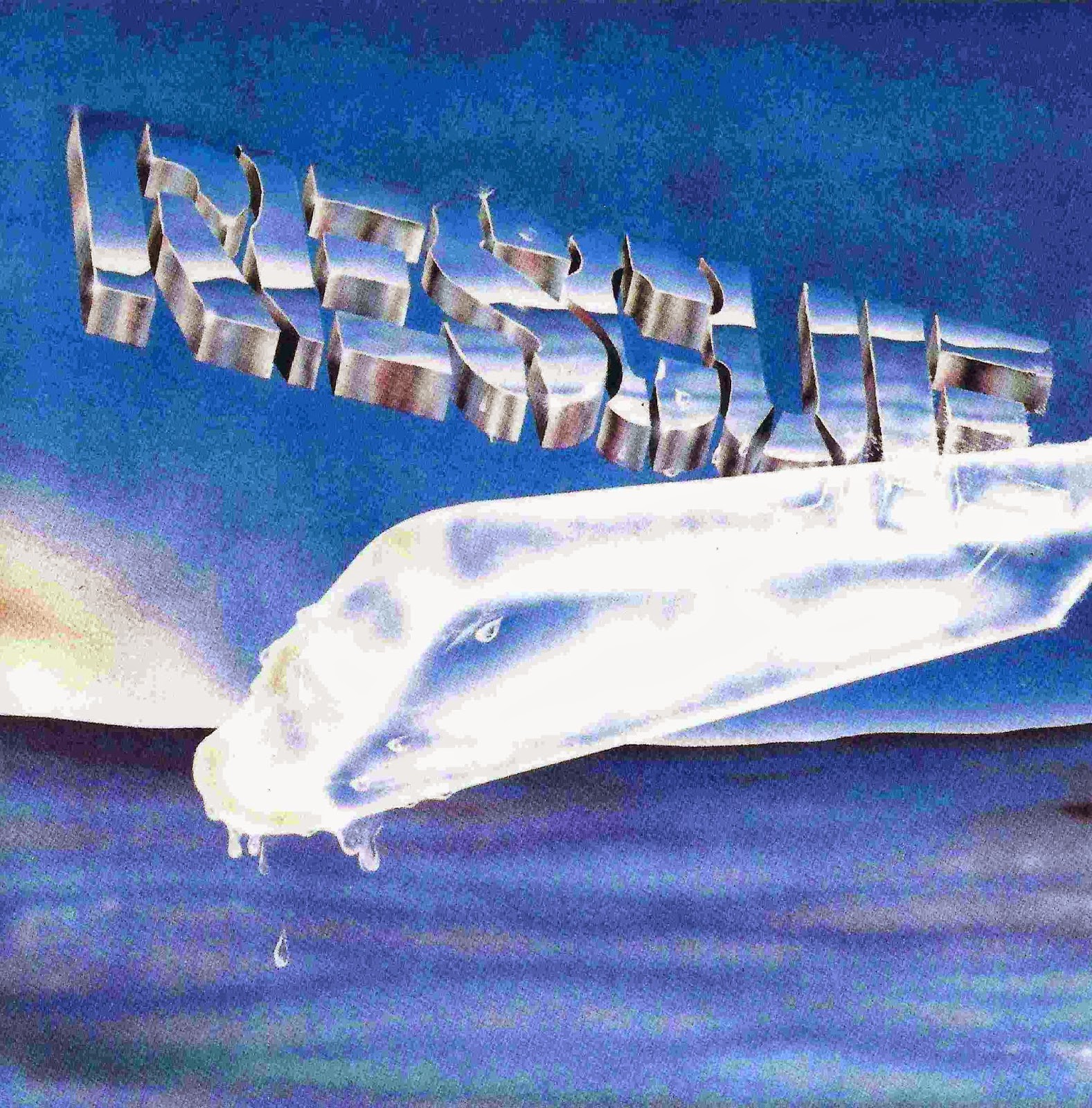 Норвежский спасатель. Спасатели в австралии. Rescue. Rescue into. Спасатель.