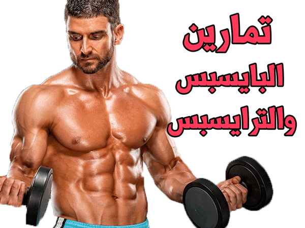 تمارين البايسبس والترايسبس