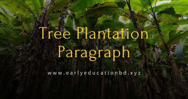 Short Paragraph on Tree Plantation Updated in 2020 | EEB
