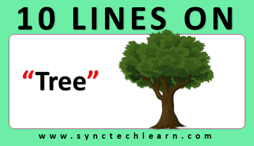 10 lines on Tree in English