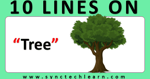 About banyan tree in english picture