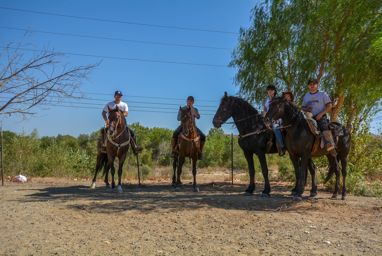 Jurupa Valley Homes For Sale Sky Country Horse Properties Celina Vazquez