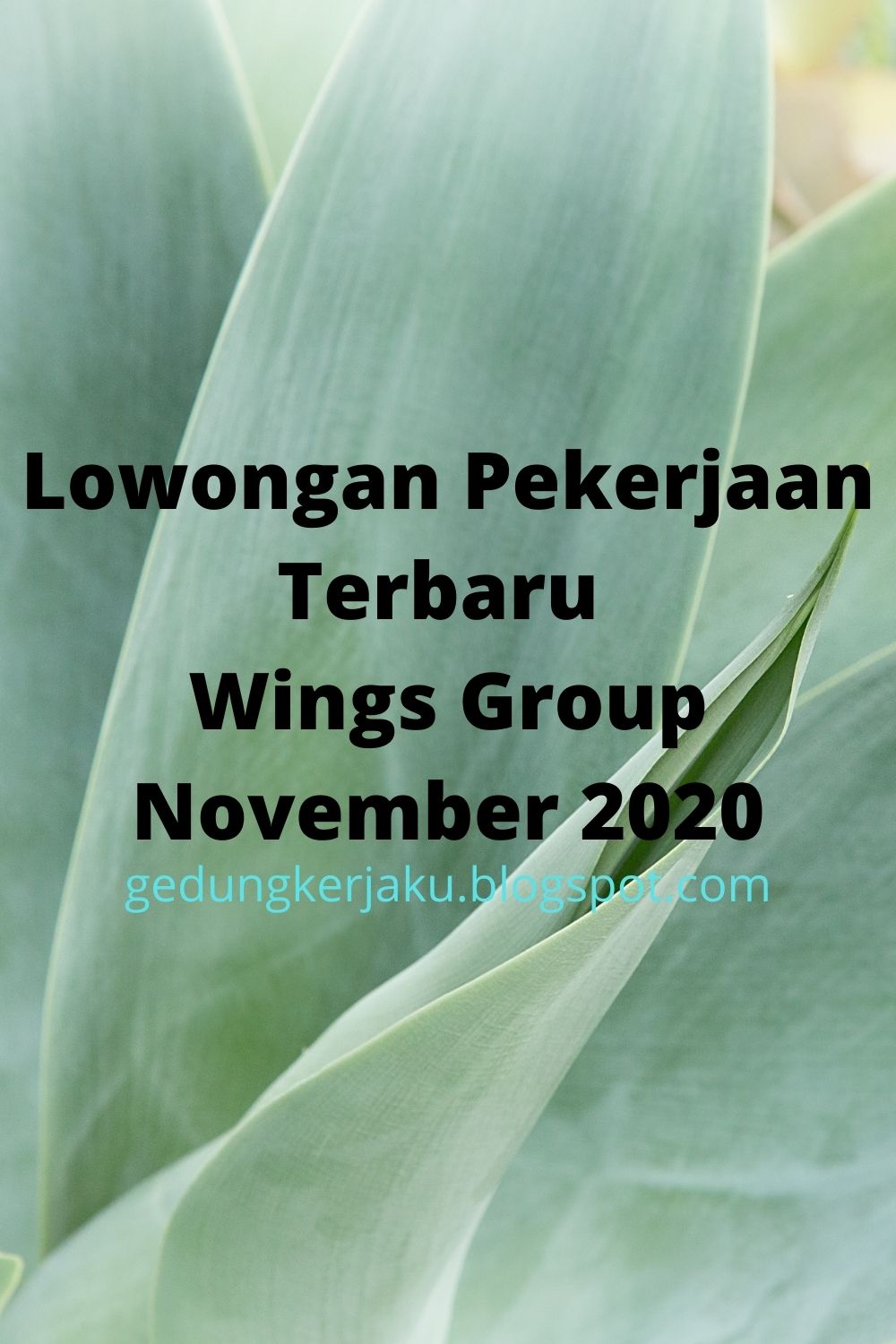 Lowongan Pekerjaan Wings Group November 2020