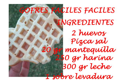 GOFRES SUPER FACILES "THERMOMIX"