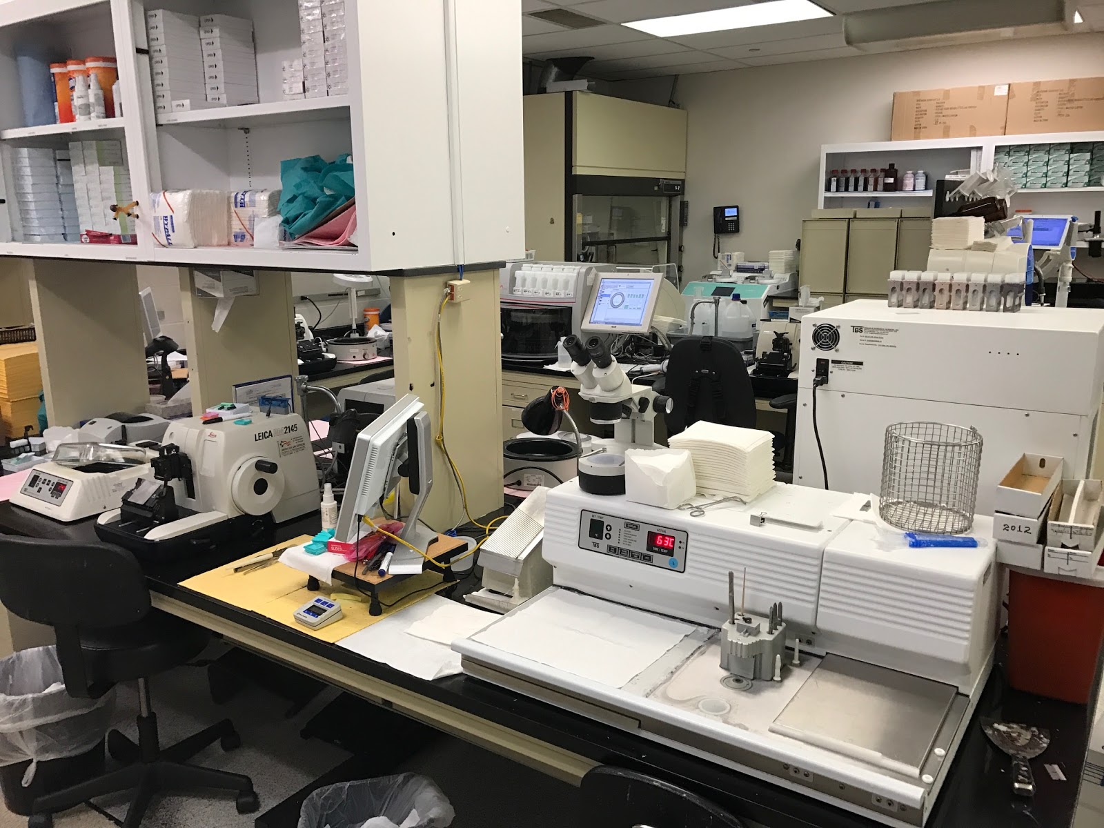 HOUSTON VETERINARY PATHOLOGY SERVICES