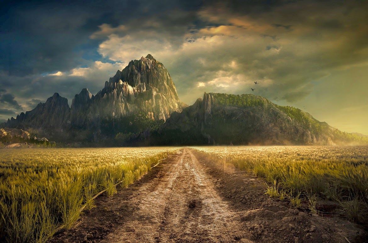 Las Mejores Fotografías del Mundo: Solo algunas fotografías