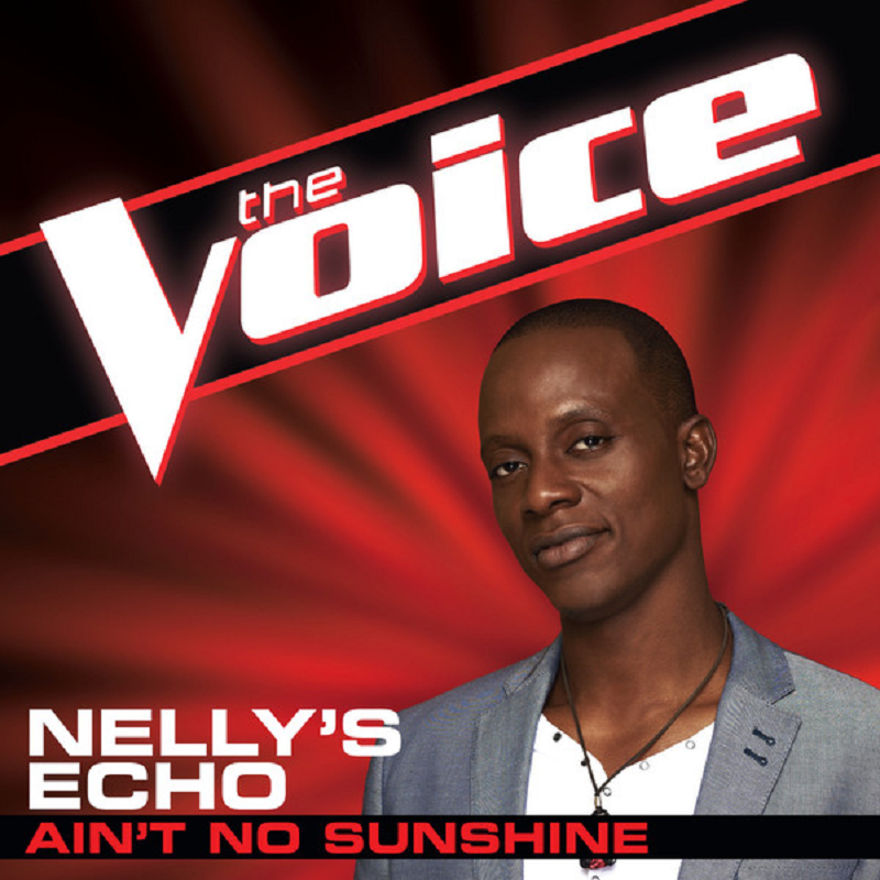Loren Allred The Voice Season 3 Audition Kwok's Wok: The Voice Season 3 Episode 3 Album Covers