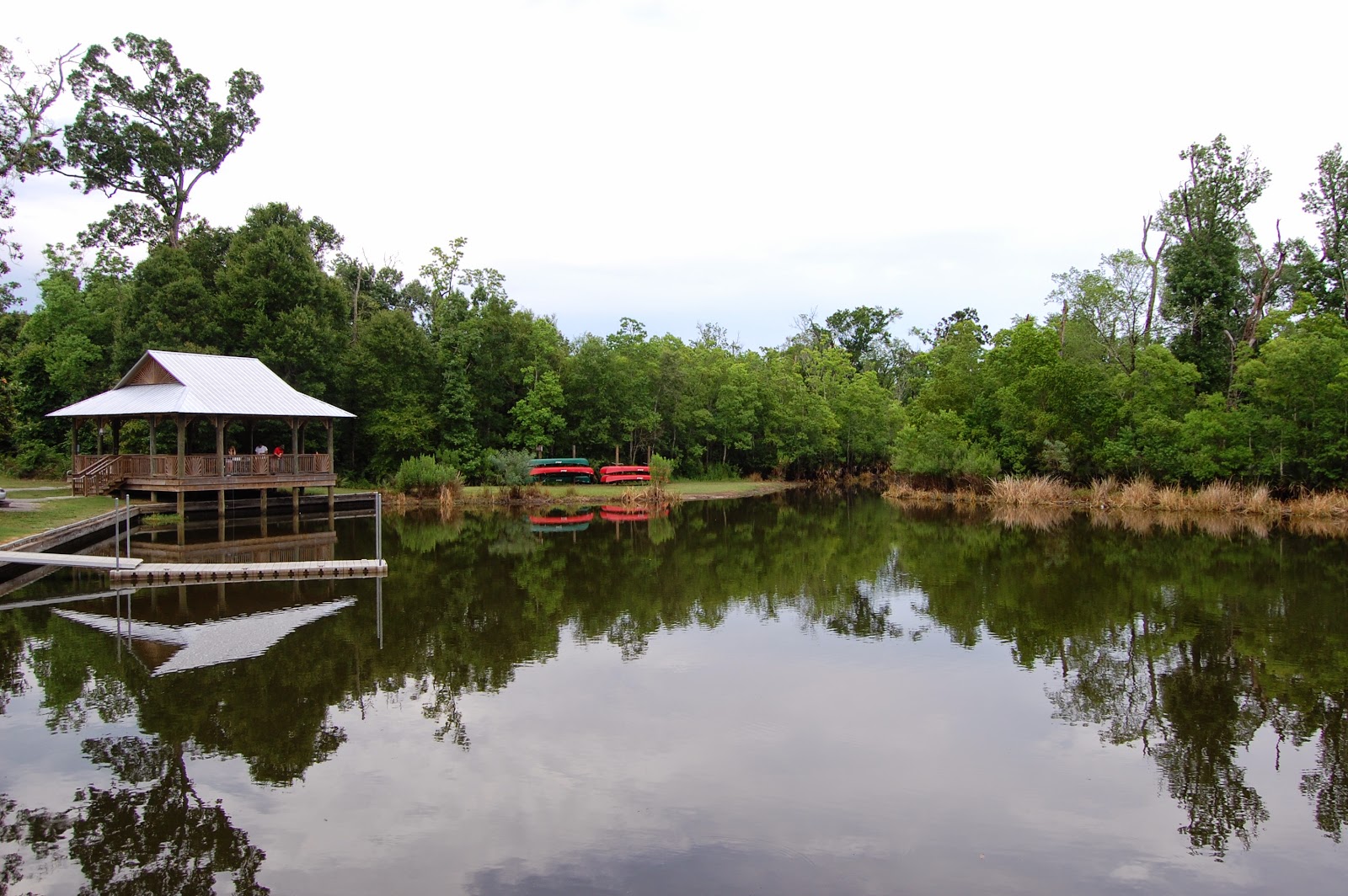 Tips for New RVers Catchin' the Dream Palmetto Island State Park
