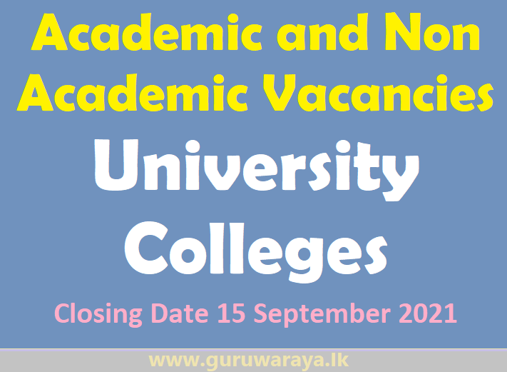 Academic and Non Academic vacancies : University Colleges