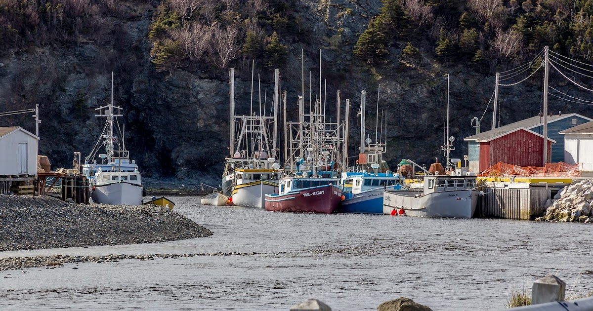 Trout River, Newfoundland.