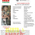 Alerta AMBER Yucatán: buscan al niño Cristoper Canul Delgado