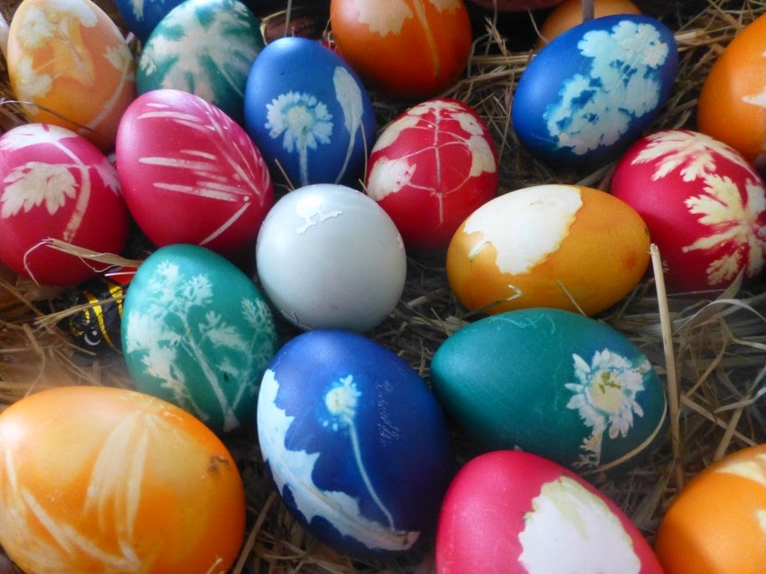 Rassegeflügel-Zucht-Verein (RGZV) Niederbieber 1928: Bunte Eier für ein