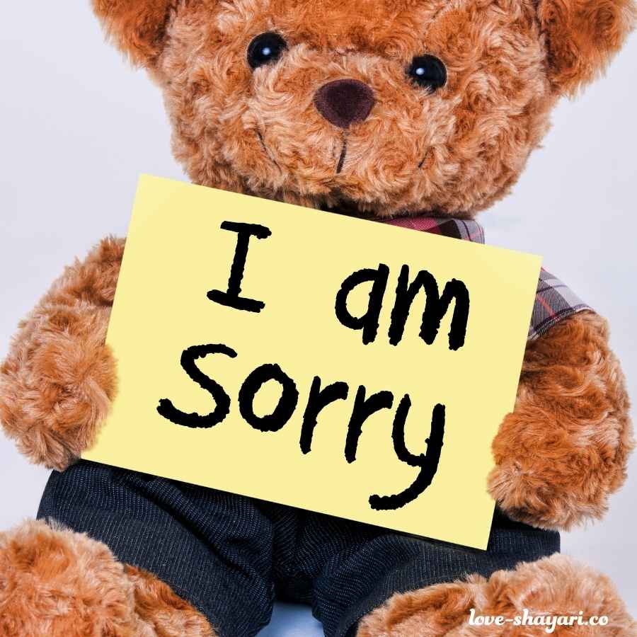 90 I am sorry images for lover | Cute sorry images