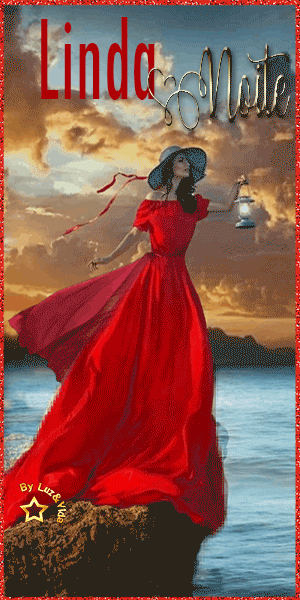 02NOVO-%2528MB%2529maryluz067cfcd5.gif