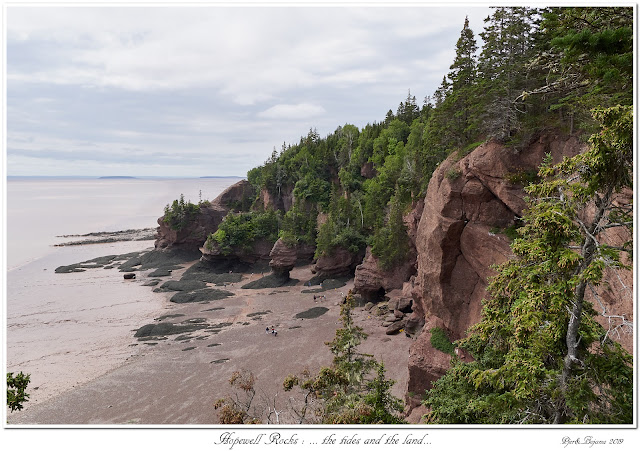 Hopewell Rocks: ... the tides and the land...