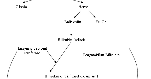Askep Hiperbilirubin pada Bayi Lengkap Download Format Pdf