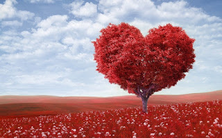 PHCC - Preferred Heart and Cancer Care