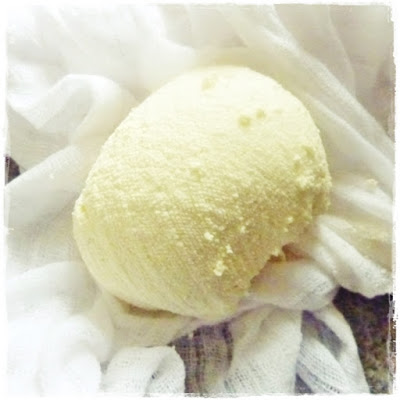 fresh cheese from sour milk