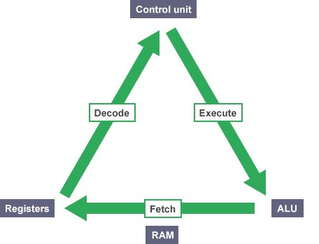 The Brain of the Computer