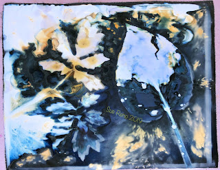 Wet cyanotype -Sue Reno_Image 632
