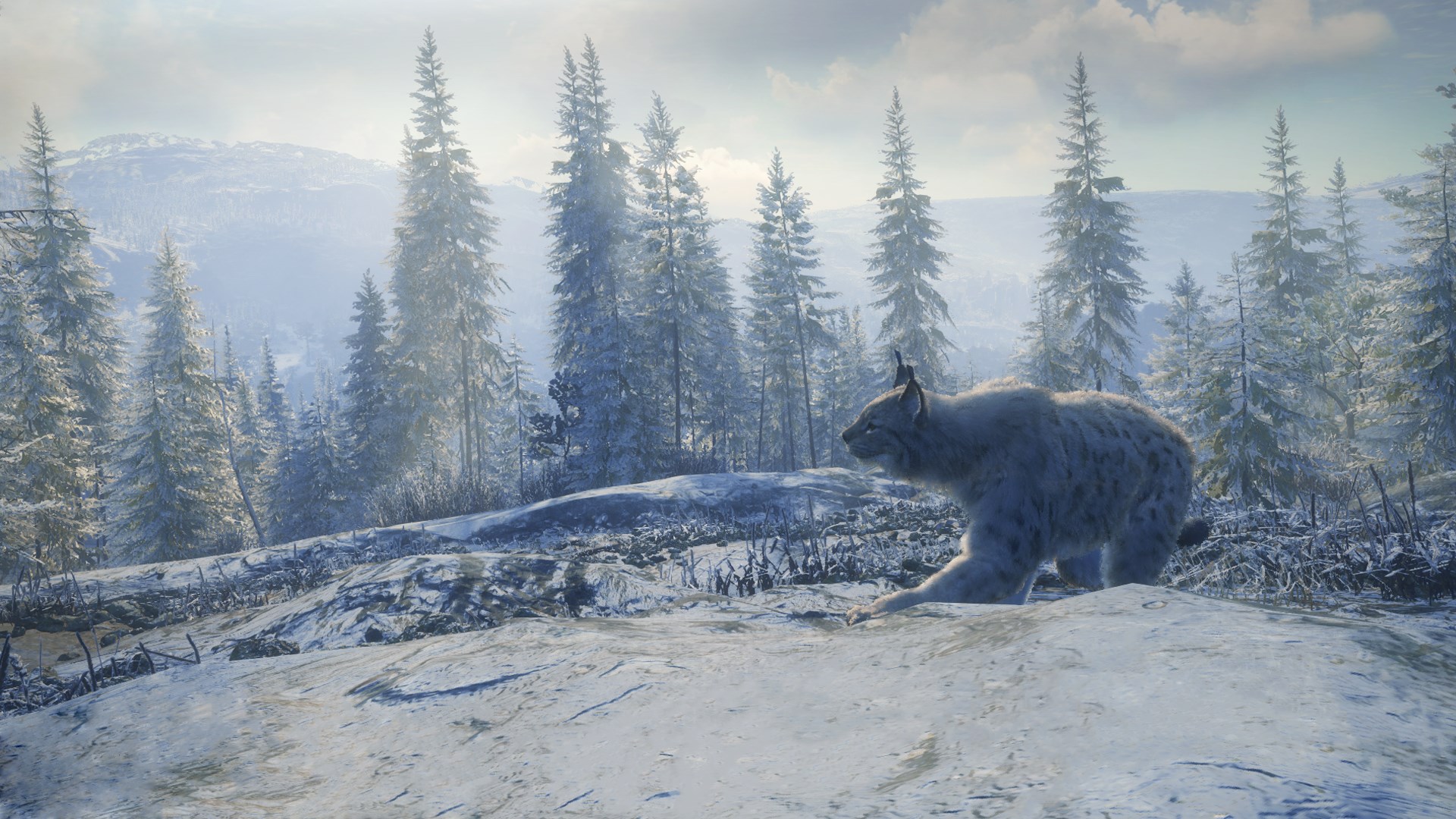 thehunter call of the wild pc specs thehunter call of the wild pc specs