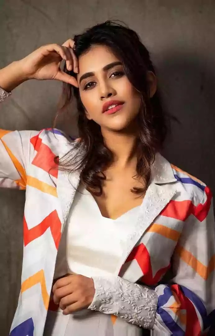 nabha-natesh-in-printed-blazer-and-skirt-set nabha-natesh-in-printed-blazer-and-skirt-set