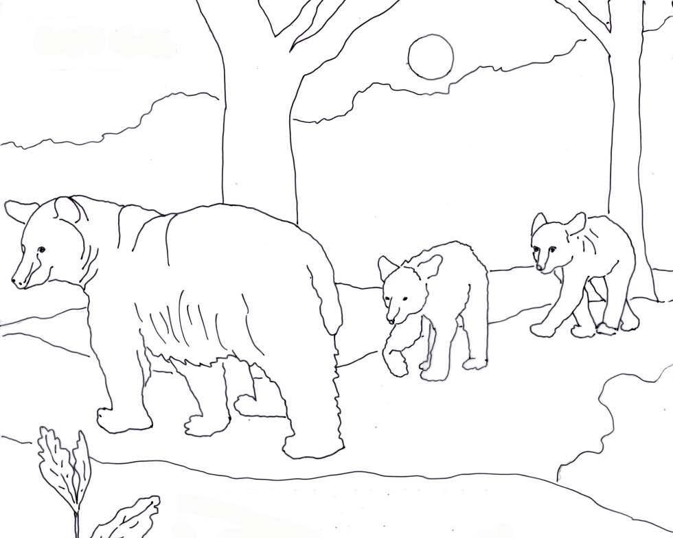 Caroline Arnold Art and Books: Black Bear Coloring Page