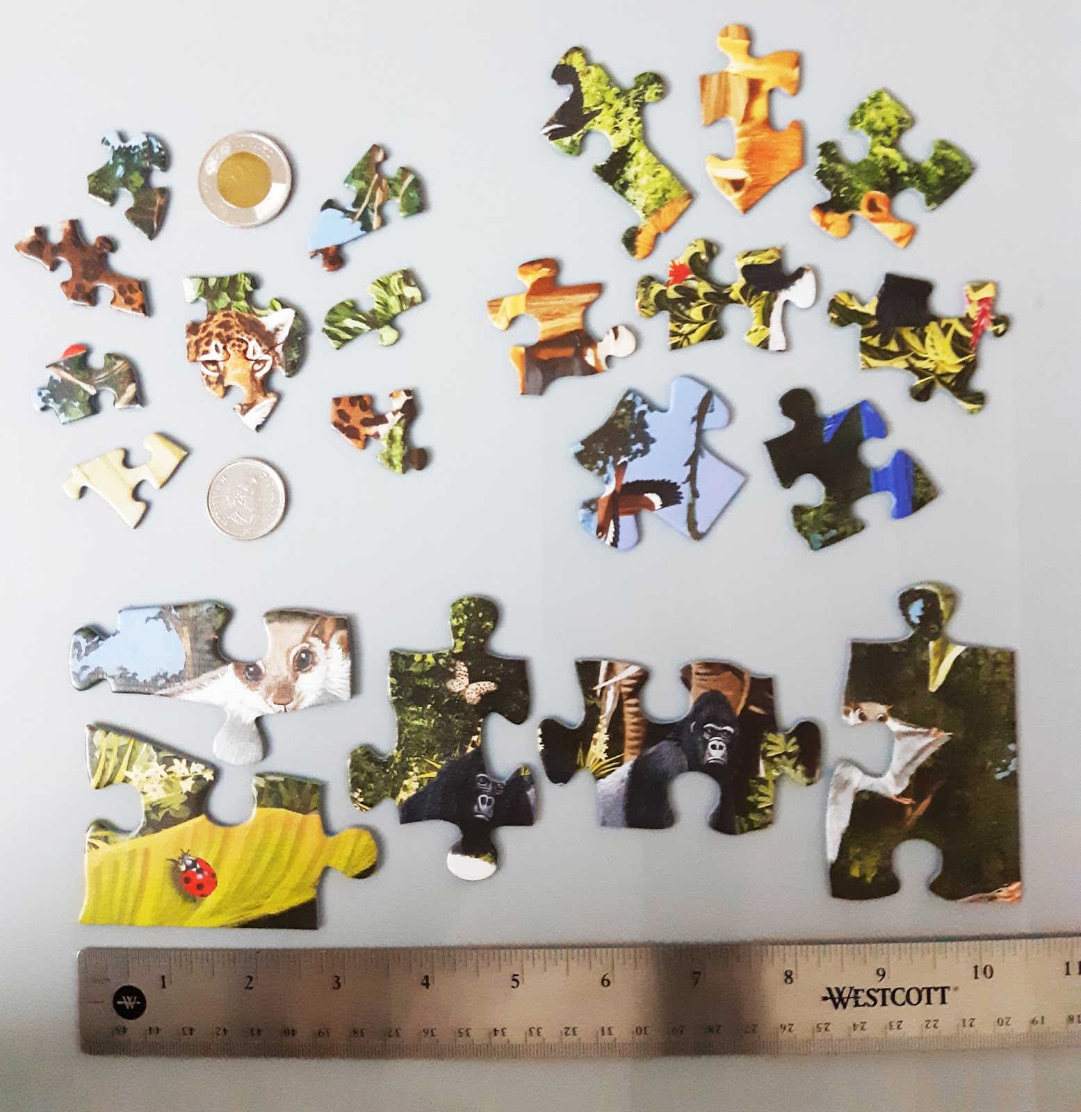 Family Day with Family Pieces Puzzles Cobble Hill Puzzles