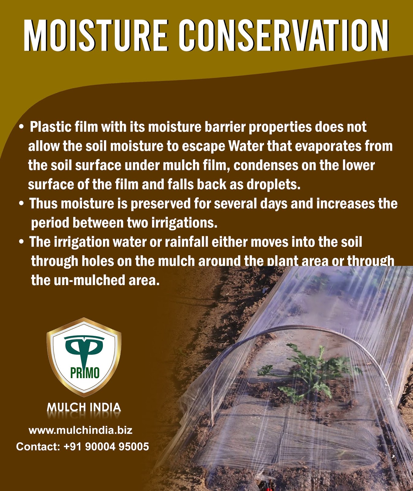 MulchIndia Moisture Conservation 𝐌𝐮𝐥𝐜𝐡 𝐈𝐧𝐝𝐢𝐚 Call+𝟵𝟭 𝟵𝟬𝟬𝟬𝟰𝟵𝟱𝟬𝟬𝟱 𝒘𝒘𝒘